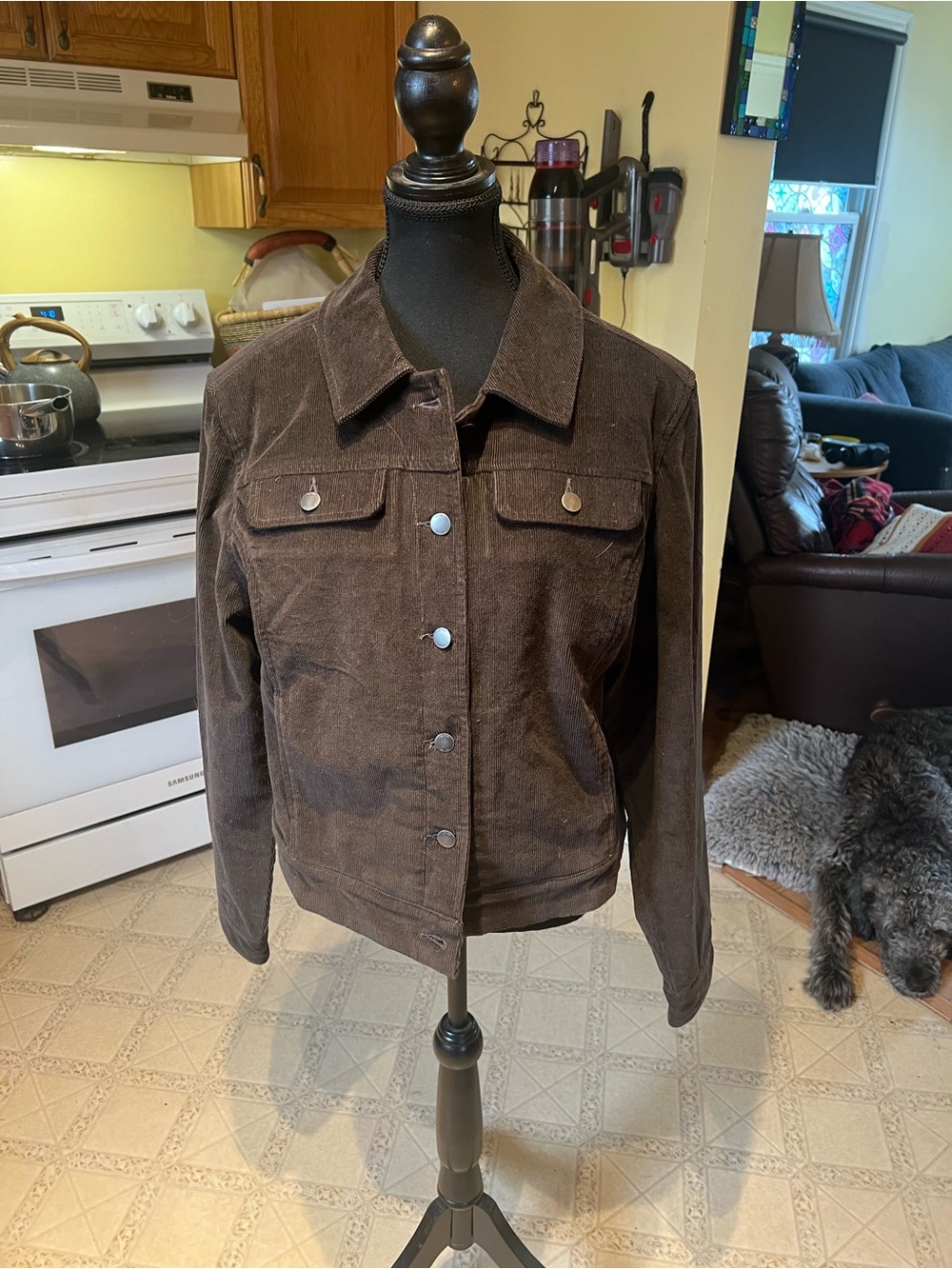 tentree Dark Brown Corduroy Trucker Jacket